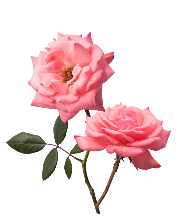rouwwerken-barneveld-bloemen-begrafenis-